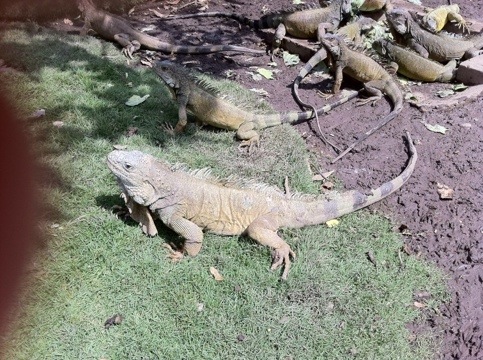 20110719-032309.jpg